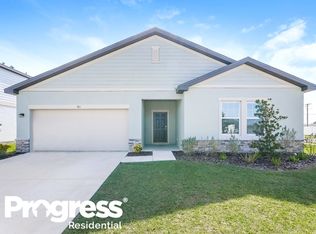 911 Ribbon Grass Loop, Ruskin, FL 33570