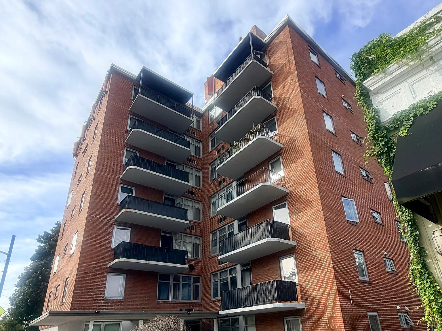 1 bed, 527 sqft, $2,000 — Photo 2