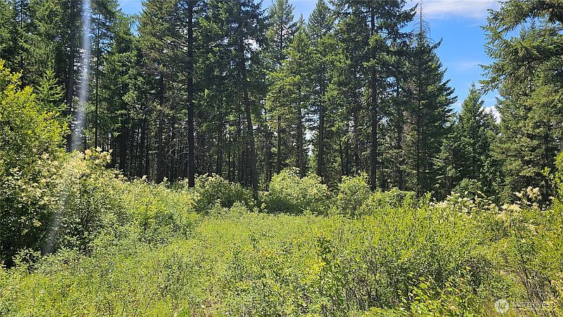3rd image of 432 X Bussard Lake Road