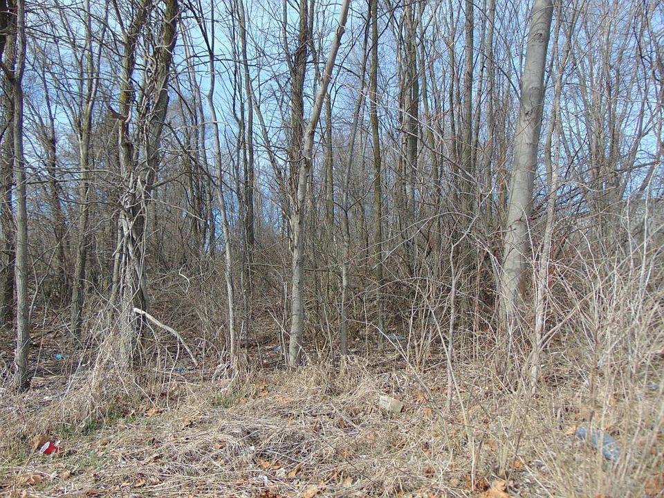 2nd image of 789 Ferguson Dr