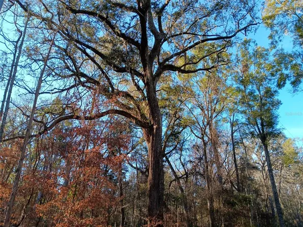 0 NE 127th St #25, Branford, FL 32008