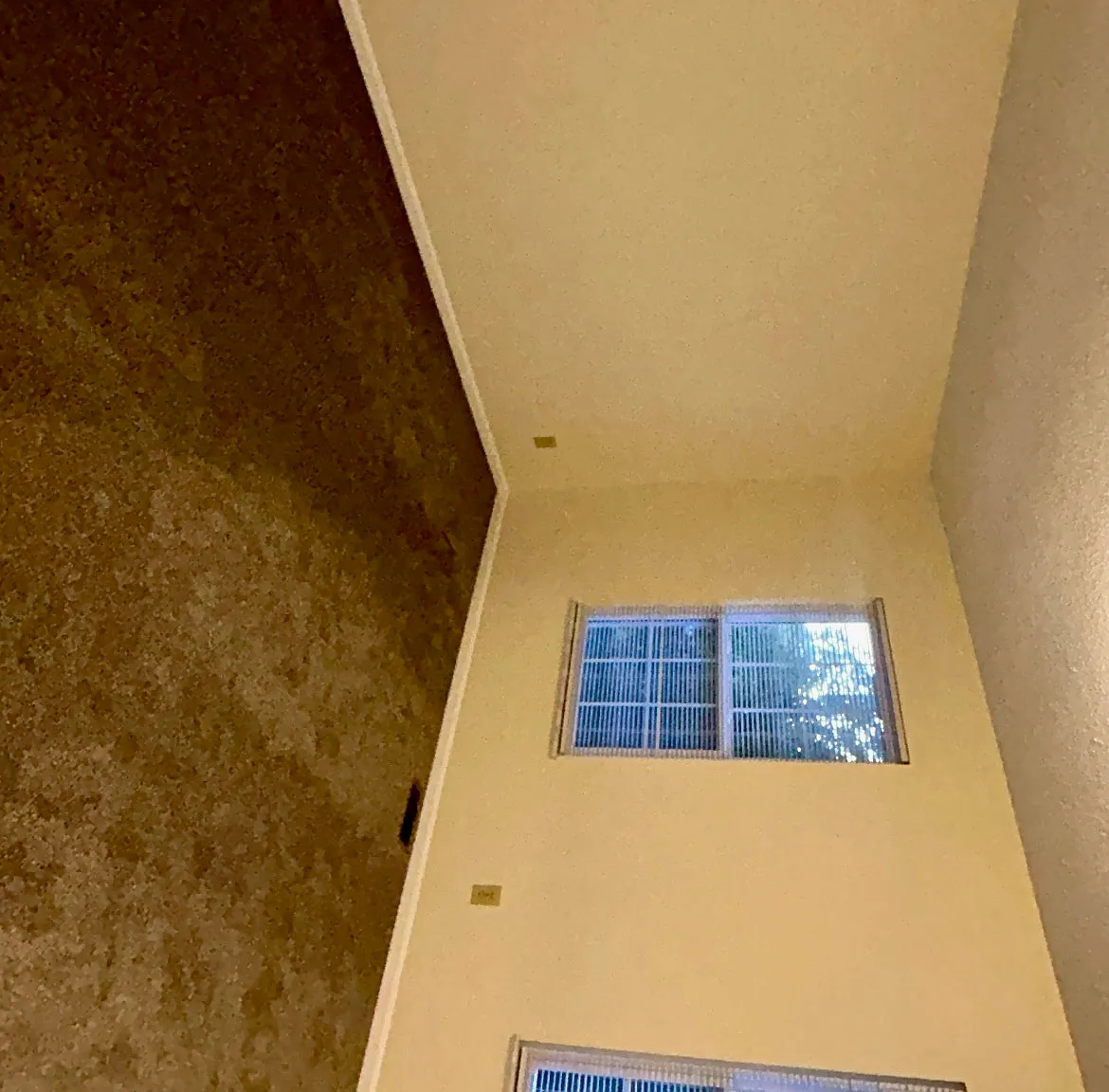 2 bed, 1.5 bath, 980 sqft, $1,200 — Photo 3