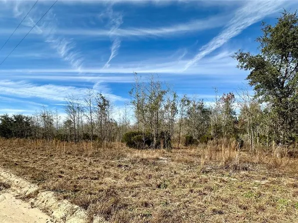 NE 14TH ST. LOT 6, WILLISTON, FL 32696