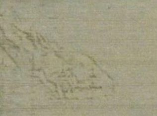 1035 F Torres St, Calexico, CA 92231