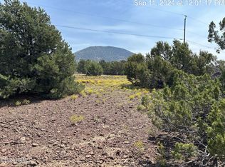 2471 E Starry Night Way #13, Williams, AZ 86046