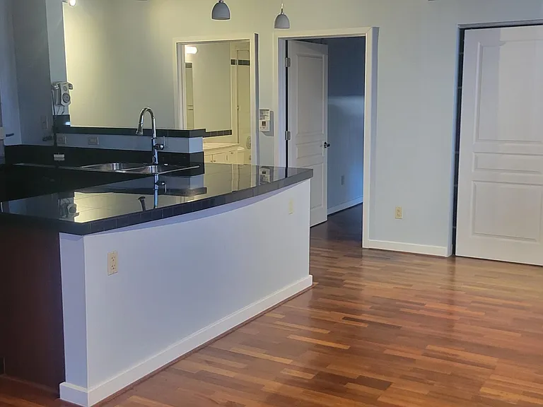 114 W Adams St #1008 — Photo 13