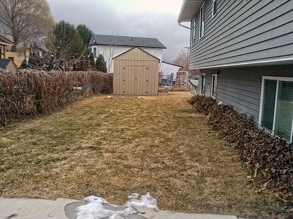 back yard