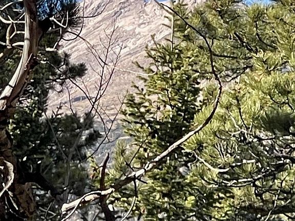 4th image of 399 N Skinner Rd