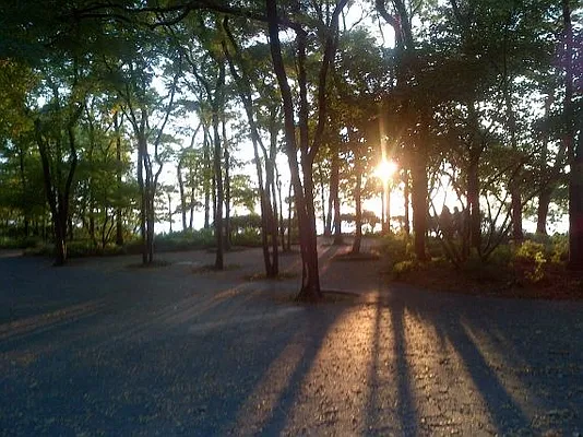 Rented by Nest Seekers International | media 7