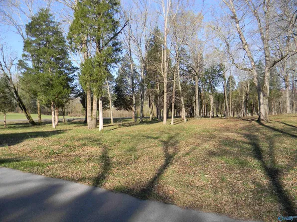 91 Longshore Dr, Leesburg, AL 35983