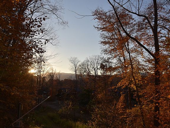4th image of 16 Yellow Birch Cir