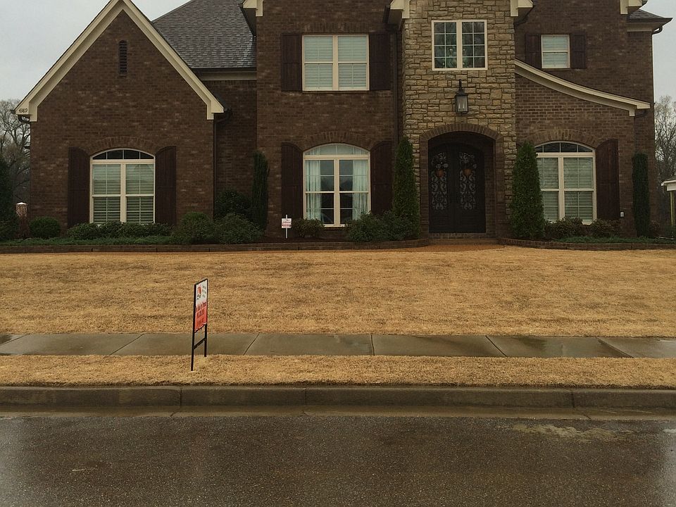 Home Front
