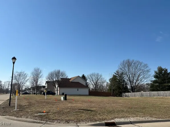 Northwoods Ave, Wellington, OH 44090