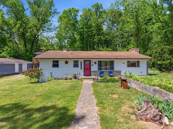 433 Mimosa St, Mt Carmel, TN 37645