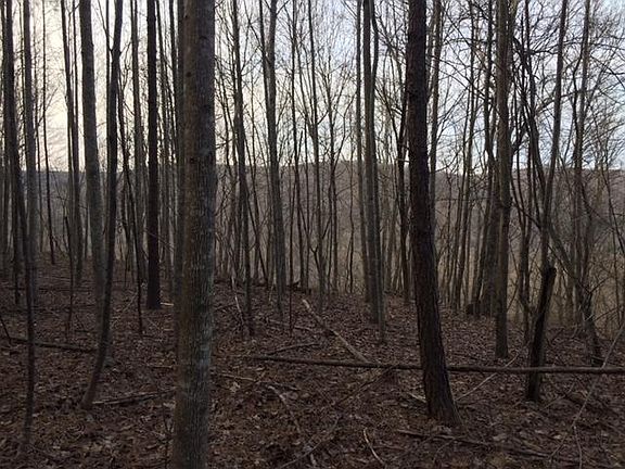 5th image of 16 Cross Creek Trl #16