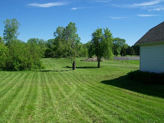Mature fruit trees