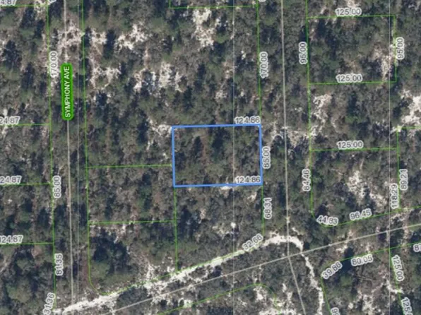591 Blue Velvet Dr Lot 9, Lake Placid, FL 33852