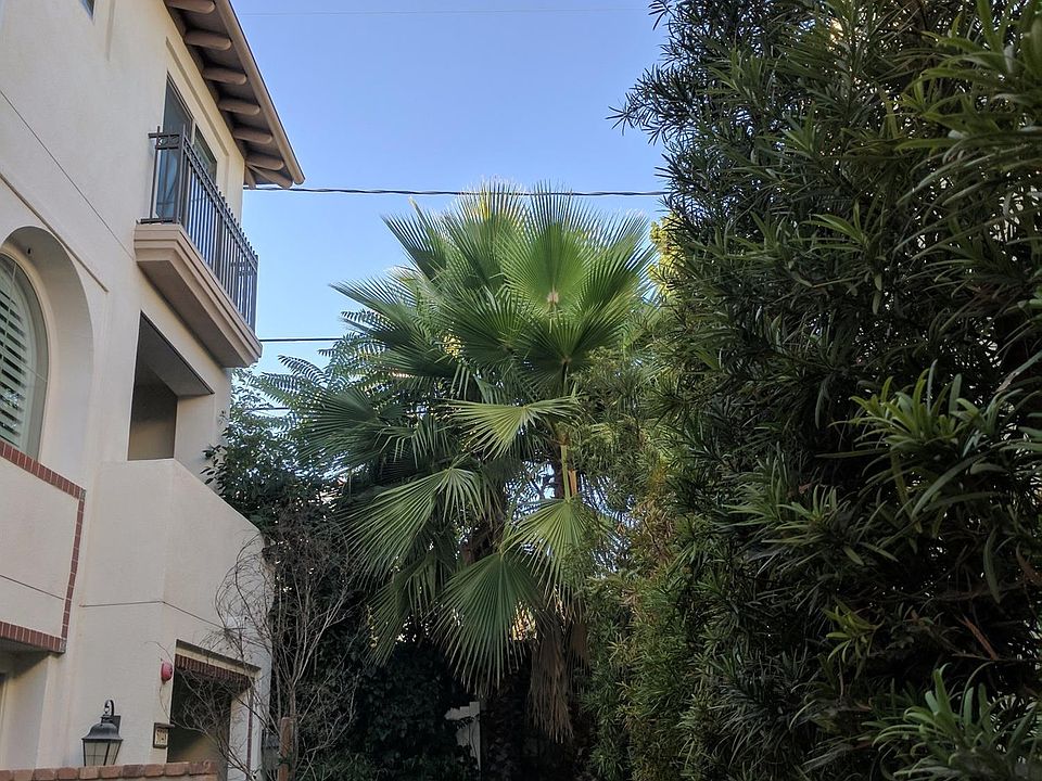 1st image of 5048 N Mosaic Ct