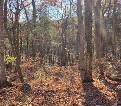 3rd image of 6550 Morgantown Rd