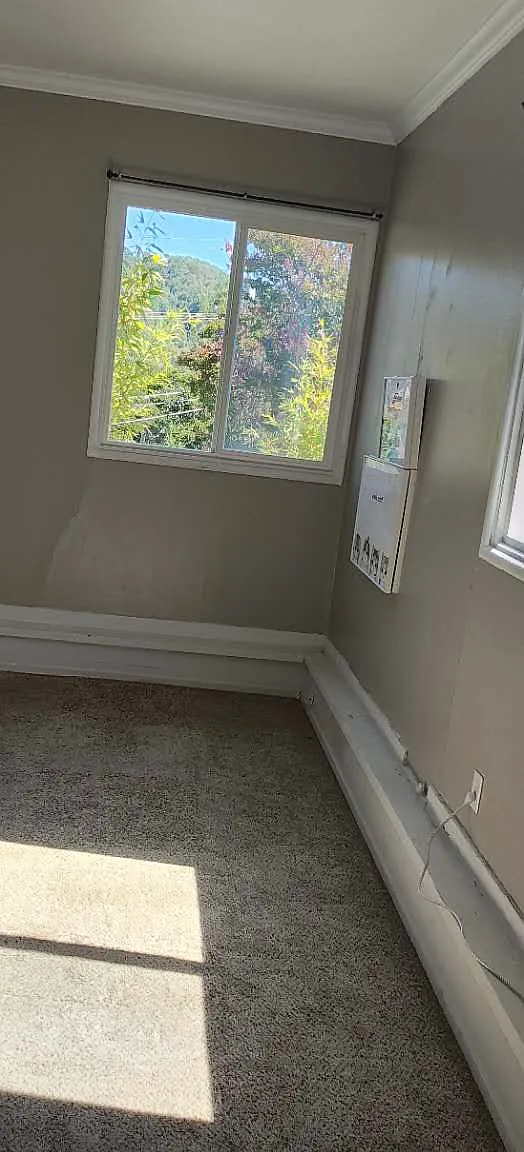 Studio, 250 sqft, $1,350 — Photo 3