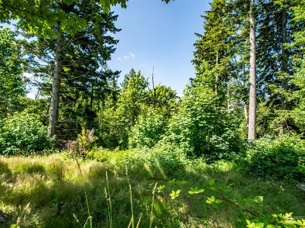 98 XX 351st Avenue SE, Snoqualmie, WA 98065
