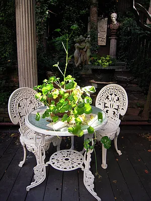 Rented by Chris Stewart, LREB | media 36