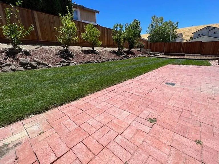 4200 Buckskin Dr — Photo 25