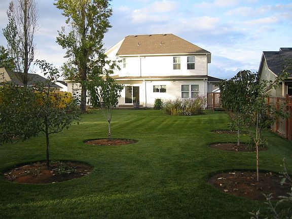 large back yard with orchard