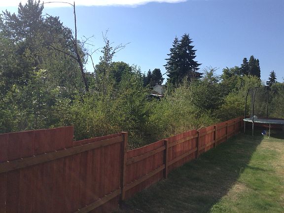 The neighbor over the fence!