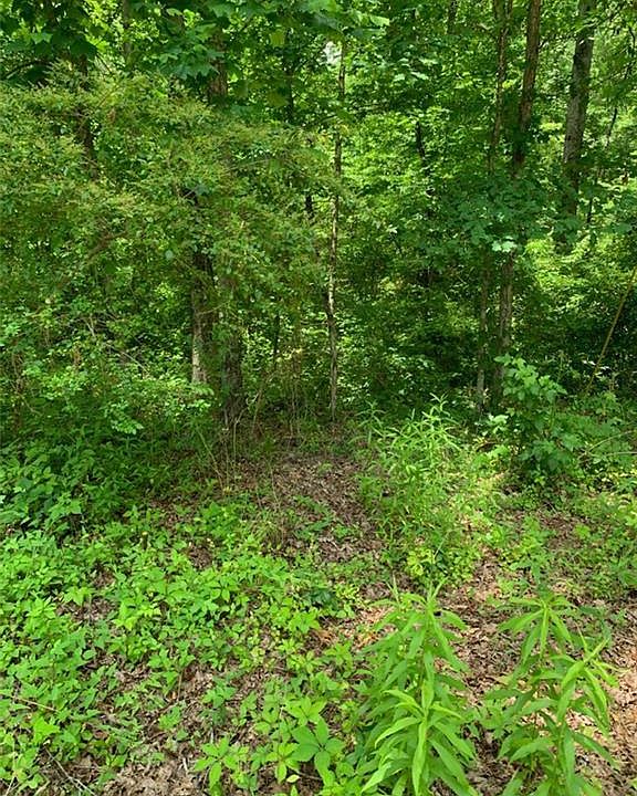 2nd image of 1596 Darby Ford Ct Lot 19