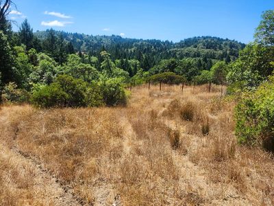 41092 Us-101 Highway, Laytonville, CA, 95454
