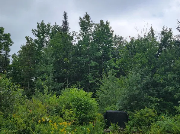 1530 Somerset Road, Somerset, VT 05363