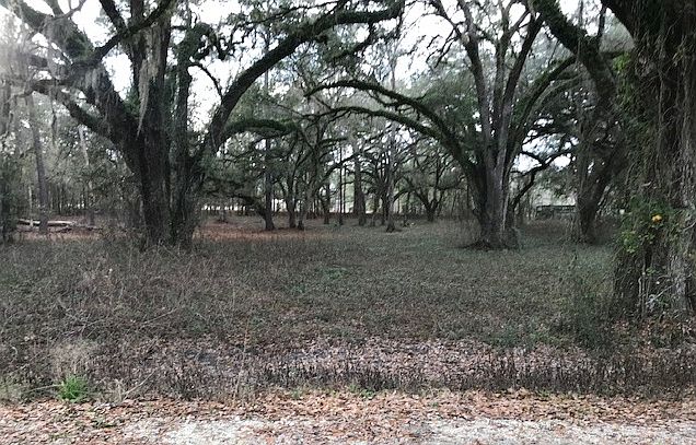 1st image of 111th Dr