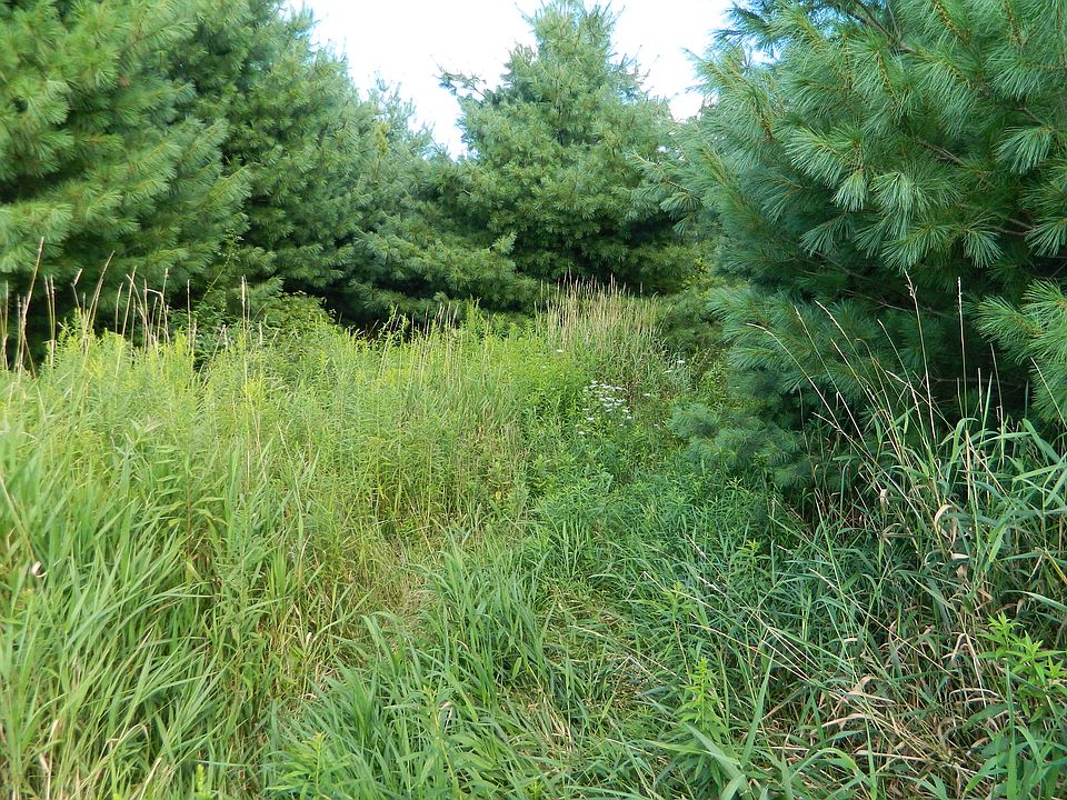 2nd image of 3250 Cemetery Rd