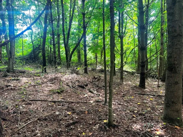 LOT 4 Kelly Rd, Fancy Gap, VA 24328