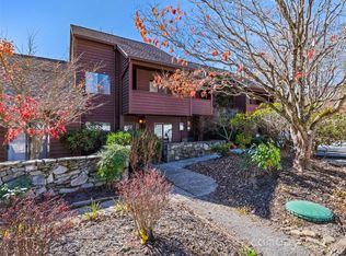 40 Meadows Ln, Maggie Valley, NC 28751