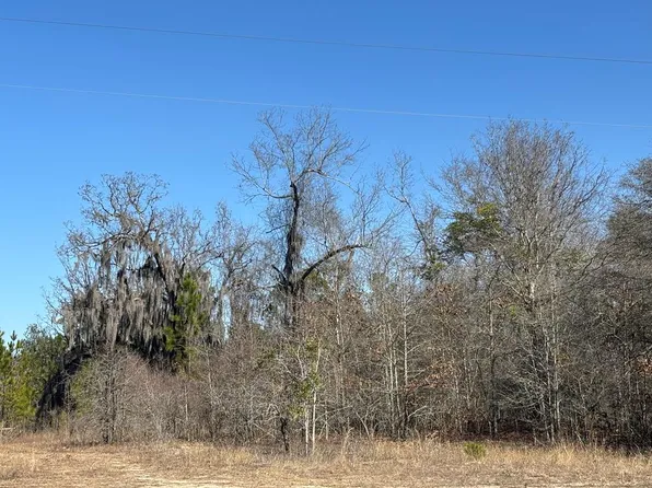 Pineville Rd, Buena Vista, GA 31803