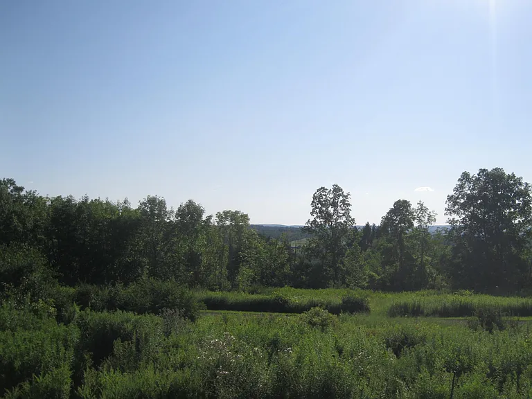 40 Muzzy Rd — Photo 7