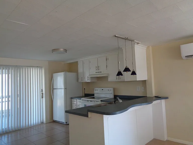 1133 N Fletcher Ave — Photo 6