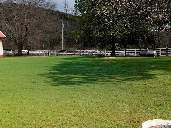 4th image of 168 Joe Turner Rd