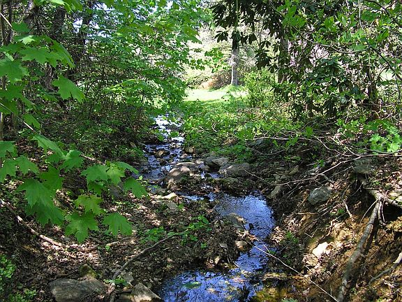 Stream with bridge across