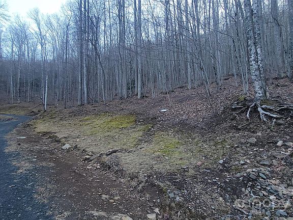 4th image of LOT 7B Hickory Springs Rd