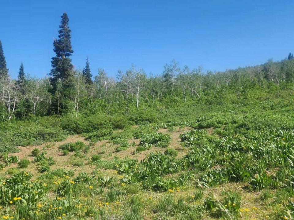 1st image of 7434 N Rendezvous Rd