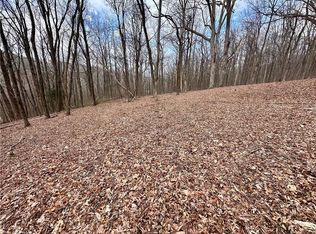 46 Highlands Pkwy Lot 46, Jasper, GA 30143