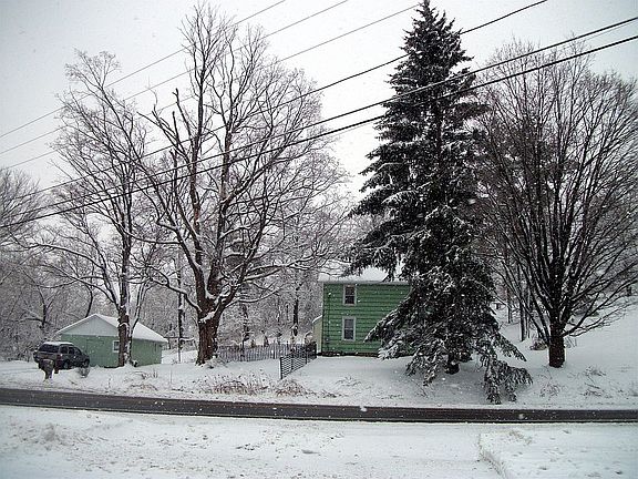 winter wonderland