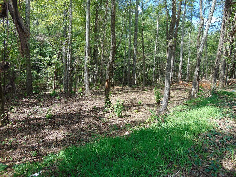 2nd image of 0 Alexander Springs Rd