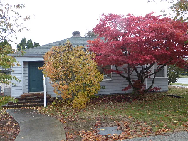2 bed, 1.5 bath, 980 sqft, $2,200 — Photo 2