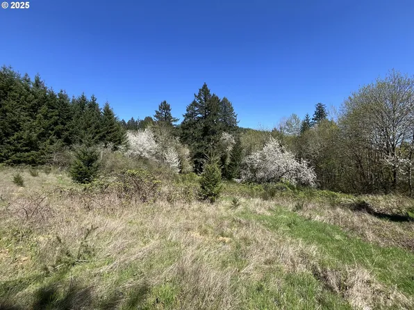 David Hill Rd, Forest Grove, OR 97116