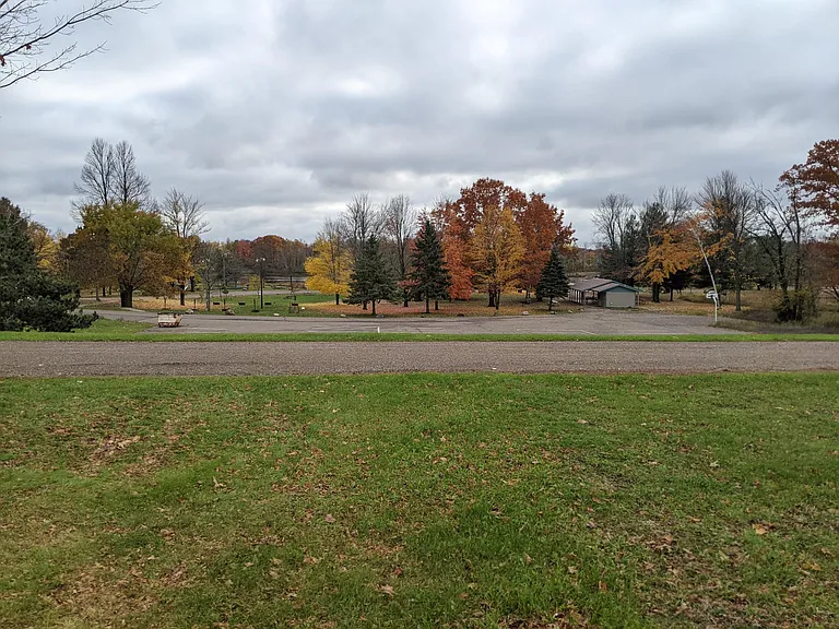 Backyard view