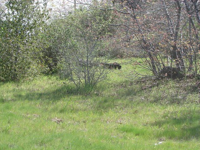 1st image of 4025 Eagle Peak Road